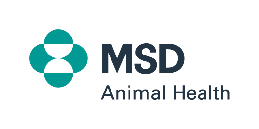 msdlogo