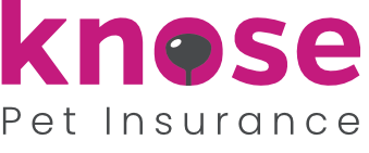 Knose Pet Insurance